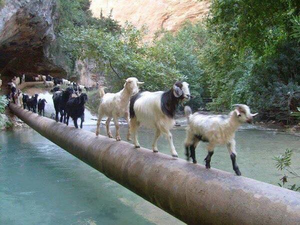 dÊ ĐI HÀNG MỘT TÌM SO ĐŨA